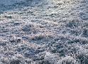011-Frozen Field